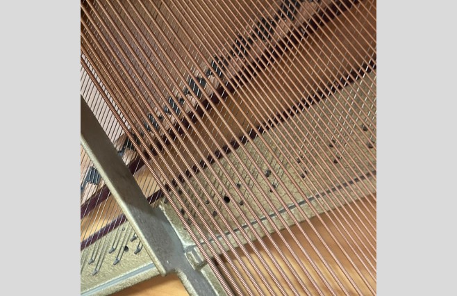 Rippen Satin Rosewood Cantabile Upright Piano, Used - All Inclusive Premium Package (SN:195515) - Image 13